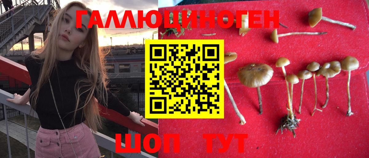 Минеральные Воды  Псилоцибиновые грибы GOLDEN TEACHER  Вход с VPN 